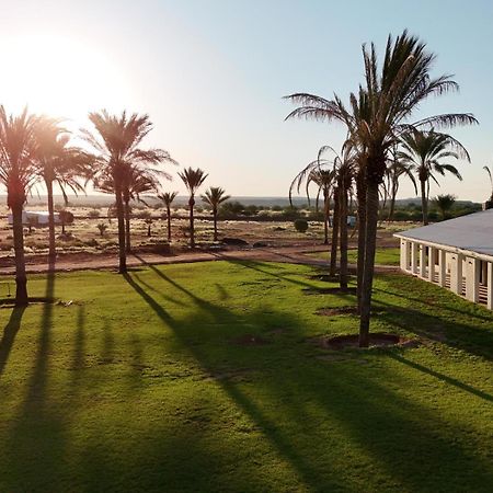 Flying Ostrich Guesthouse & Self-Catering Accommodation Mariental Exteriör bild
